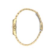 Ceas Daniel Klein Premium DK.1.13830.4