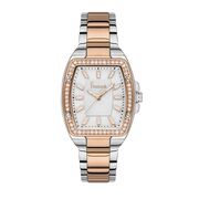 Ceas Freelook Lumiere FL.1.10336.3