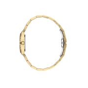 Ceas Freelook Lumiere FL.1.10466.3