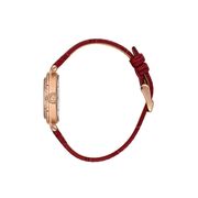 Ceas Freelook Lumiere FL.4.10006.4