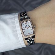 Ceas Daniel Klein Premium DK.1.13480.4