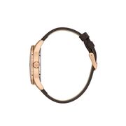 Ceas Daniel Klein Premium DK.1.13800.5