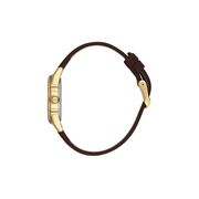 Ceas Daniel Klein Arcadia DK.1.13847.5