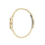 Ceas Daniel Klein Premium DK.1.13758.5