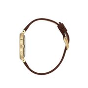 Ceas Daniel Klein Premium DK.1.13762.6