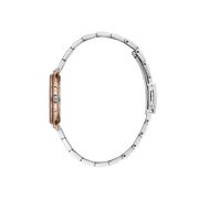 Ceas Daniel Klein Premium DK.1.13768.6