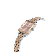 Ceas Daniel Klein Premium DK.1.13775.6