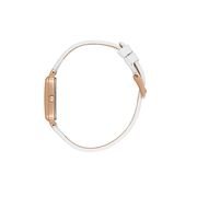 Ceas Daniel Klein Premium DK.1.13776.5