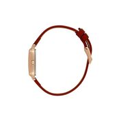 Ceas Daniel Klein Premium DK.1.13776.6