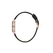 Ceas Daniel Klein Premium DK.1.13780.6