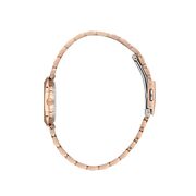 Ceas Daniel Klein Premium DK.1.13788.5