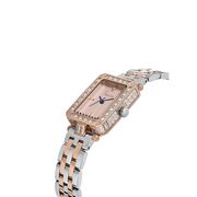 Ceas Freelook Charmant FL.1.10461.5