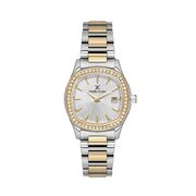 Ceas Daniel Klein Premium DK.1.13866.3