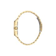 Ceas Daniel Klein Premium DK.1.13867.3