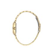 Ceas Daniel Klein Premium DK.1.13870.4