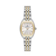 Ceas Daniel Klein Premium DK.1.13870.5