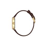 Ceas Daniel Klein Premium DK.1.13872.3