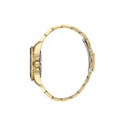 Ceas Daniel Klein Premium DK.1.13880.4