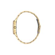 Ceas Daniel Klein Premium DK.1.13881.3