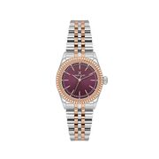 Ceas Daniel Klein Premium DK.1.13894.6