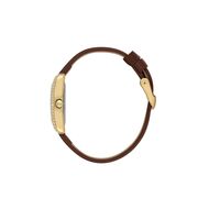 Ceas Daniel Klein Premium DK.1.13896.4