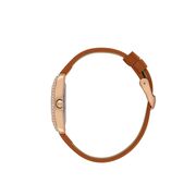 Ceas Daniel Klein Premium DK.1.13896.6