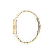 Ceas Daniel Klein Premium DK.1.13897.4