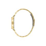 Ceas Daniel Klein Premium DK.1.13899.5