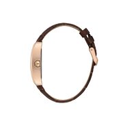 Ceas Daniel Klein Premium DK.1.13909.5