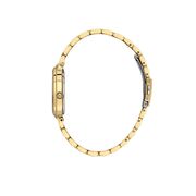 Ceas Freelook Lumiere FL.1.10483.2