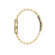 Ceas Freelook Lumiere FL.1.10483.3