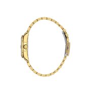 Ceas Daniel Klein Premium DK.1.13932.3