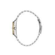 Ceas Daniel Klein Premium DK.1.13932.4