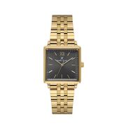 Ceas Daniel Klein Premium DK.1.13941.3