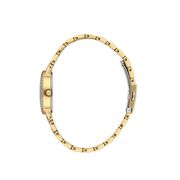 Ceas Daniel Klein Premium DK.1.13942.2