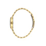 Ceas Daniel Klein Premium DK.1.13942.3