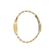 Ceas Daniel Klein Premium DK.1.13957.4