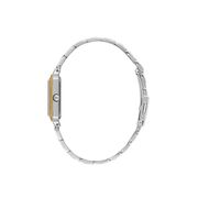 Ceas Daniel Klein Premium DK.1.13970.3