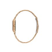 Ceas Daniel Klein Premium DK.1.13970.5