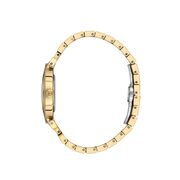 Ceas Freelook Charmant FL.1.10501.3