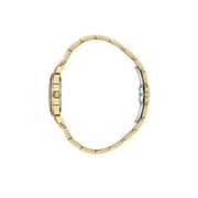 Ceas Freelook Lumiere FL.1.10493.3