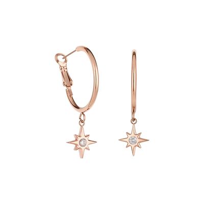 Cercei auriu rose, Freelook, pentru dama, din otel inoxidabil, FRJ.3.5009-4