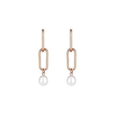 Cercei auriu rose, Freelook, pentru dama, din otel inoxidabil, FRJ.3.5010-4