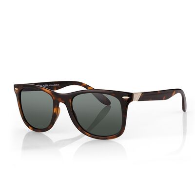 Ochelari de soare gri, pentru barbati, Daniel Klein Sunglasses, DK3256-3