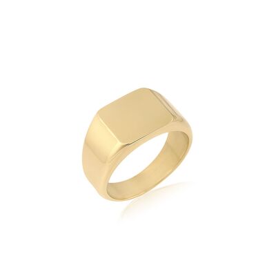 Inel auriu, Daniel Klein, pentru dama, din otel inoxidabil, DKJ.5.40008.M-3