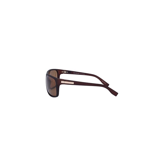 Ochelari de soare maro, pentru barbati, Daniel Klein Premium, DK3172-3