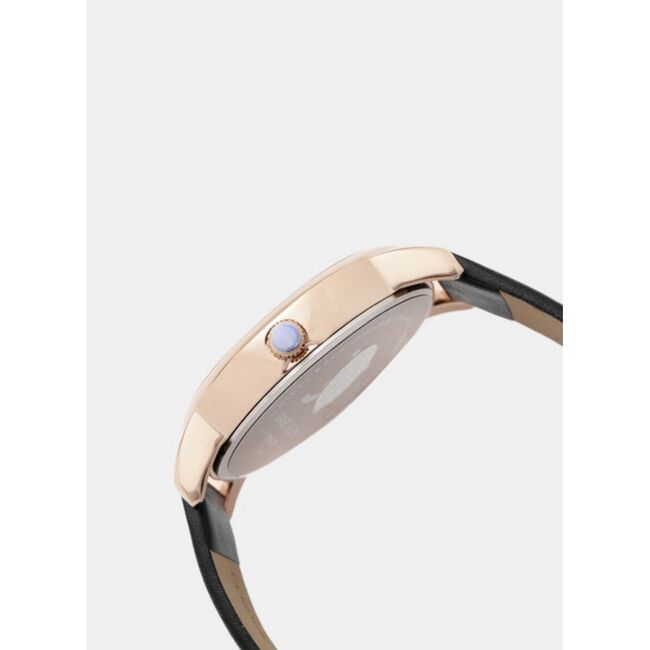 Ceas Daniel Klein Premium DK11848-3