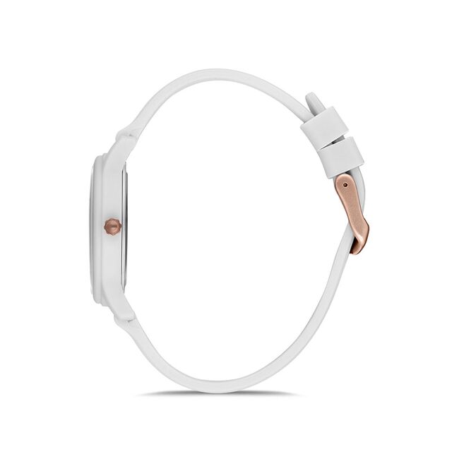 Ceas Daniel Klein Dkln DK.1.12645.1