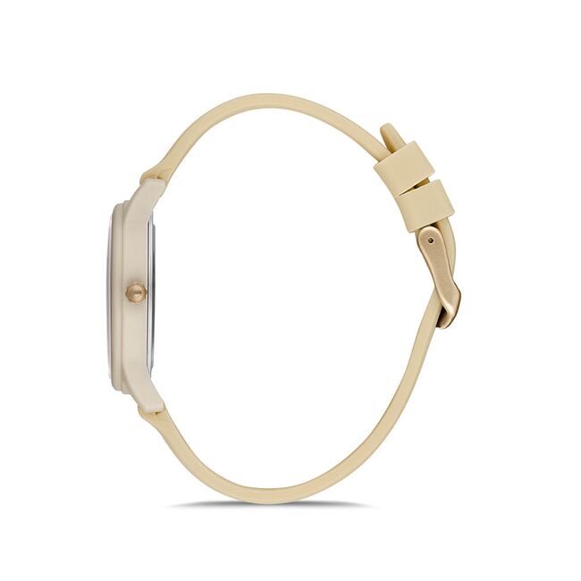 Ceas Daniel Klein Dkln DK.1.12645.6