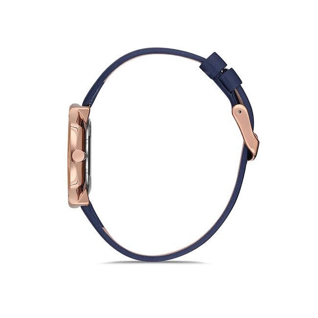 Ceas Daniel Klein Fiord DK.1.12654.6